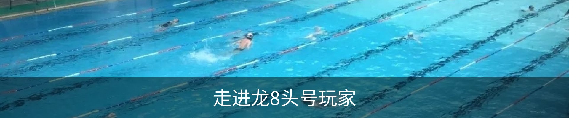 走进龙8头号玩家